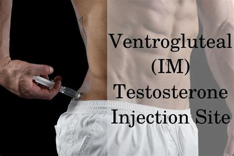 Testosterone Injection Sites 的图像结果