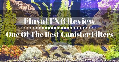 Fluval FX6 Review 的图像结果