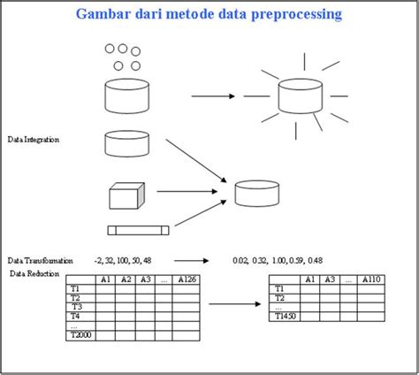 Data Preprocessing Tutorial 的图像结果
