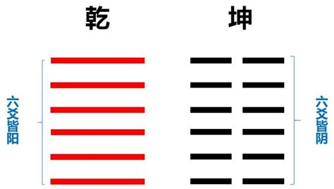 六十四卦爻象全图_word文档在线阅读与下载_无忧文档