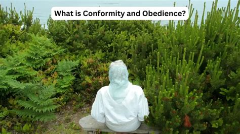 Conformity 的图像结果
