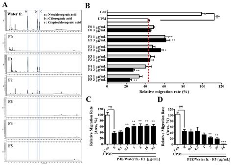 Peucedanum japonicum Thunberg and Its Active Components Mitigate ...