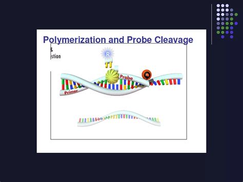 Image result for Real-Time PCR For Dummies