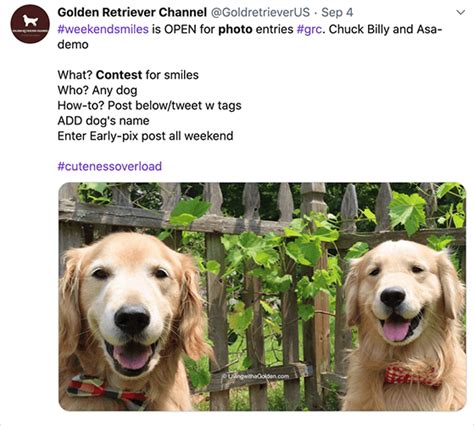 Christmas Promo 的图像结果