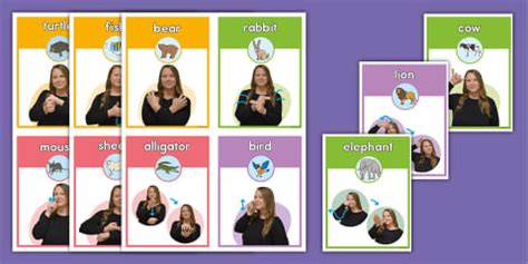 Favorite Sign Language activity | ASL Resource | Twinkl USA