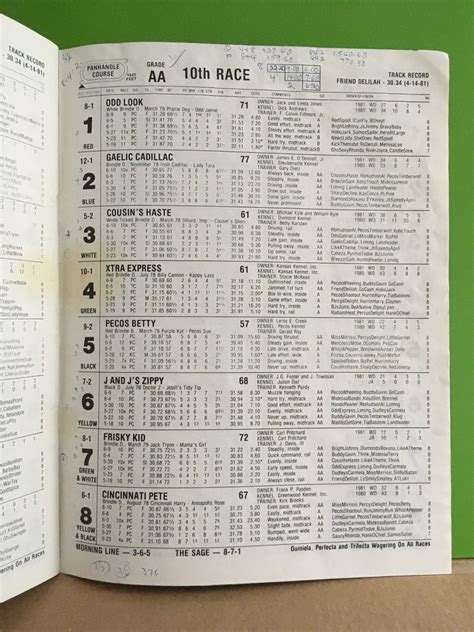 1981 Wheeling Downs Greyhound Racing Program, Full Size, with (2) Tip ...