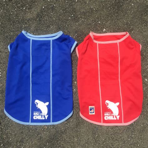 ☆Chilly T-shirts II / size 2 | hanzo outlet