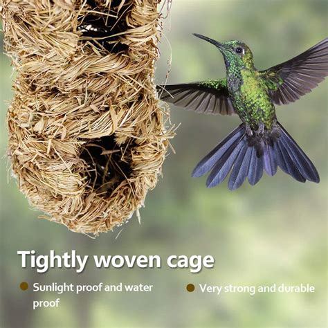 Buy winemana Hand Woven Hummingbird House, Set of 2 Bird Hut 12 x 4 ...