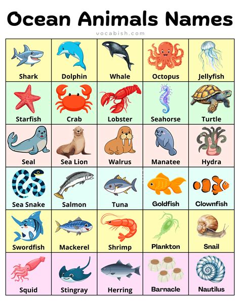 100+ Ocean Animals Names in English with Pictures | Vocabish