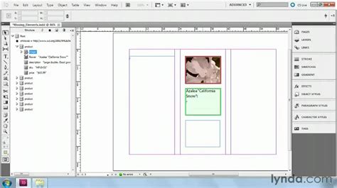 Image result for How to Use InDesign CS5