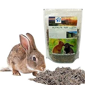Buy Jainsons Pet Products Alfalfa Hay 400g, Dried Natural Alfalfa Hay ...