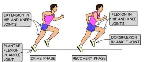 Types of Movement in Sport - Physical Education for GCSE/IGCSE - Year 11