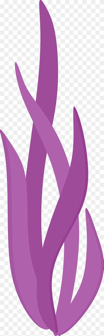 Image result for Ocean Pattern