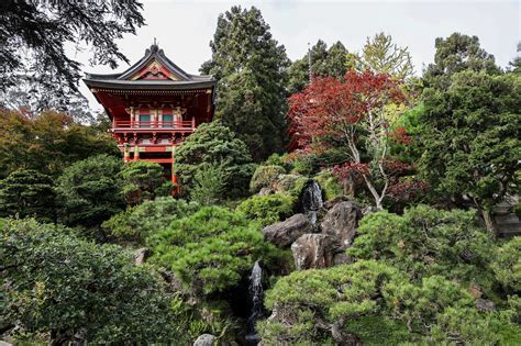 Japanese Tea Garden: A complete guide to the SF landmark