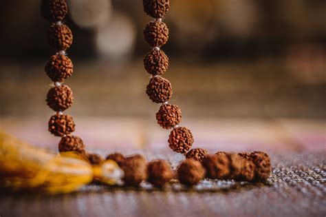 Rudraksha and Their Importance in your life