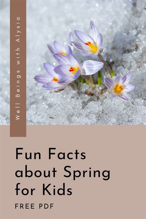 Image result for Weird Spring Facts