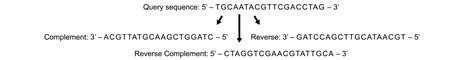 Image result for How to Make Reverse Complement DNA in Python 3.8