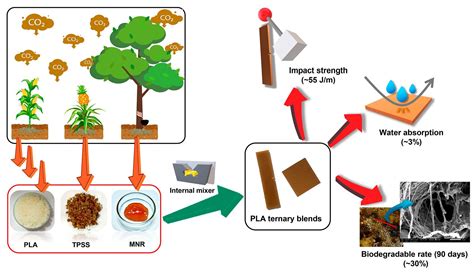 Sustainable Materials with Improved Biodegradability and Toughness from ...