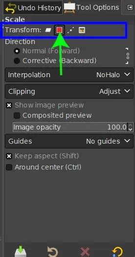 Image result for GIMP Scale Pattern