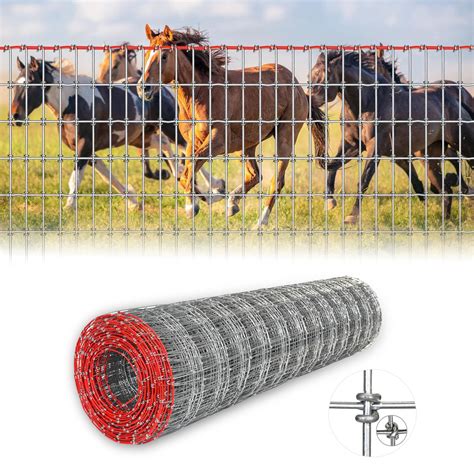 Horse Ranch Fencing