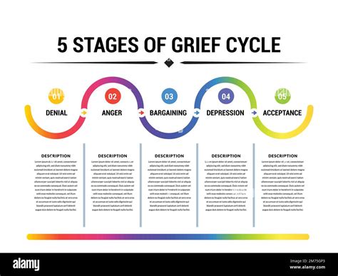The 5 stages of the grief cycle with colorful design and descriptions Stock Vector Image & Art ...