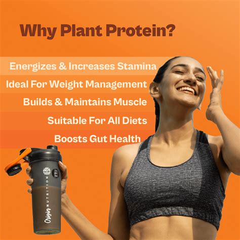Daily Plant Protein - Chocolate Fudge – Origin Nutrition
