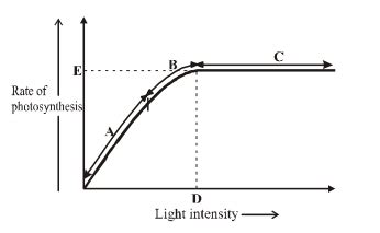 The given figure shows the graph of light intensity (on x-axis) on the ...