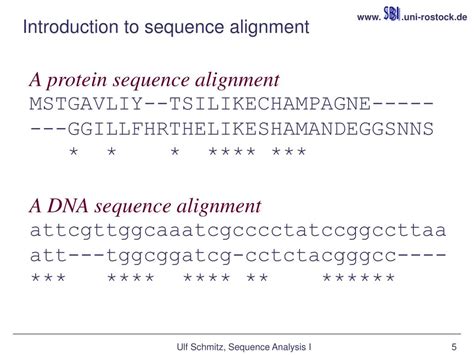 Bioinformatics Sequence 的图像结果