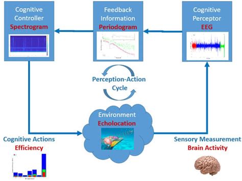 Brain-Inspired Healthcare Smart System Based on Perception-Action Cycle