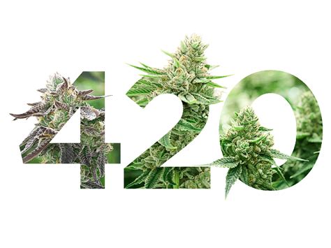 420 PNG - PNG All | PNG All