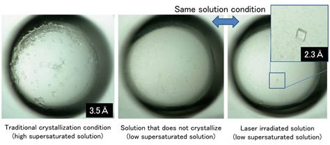 Image result for Protein Crystallization System