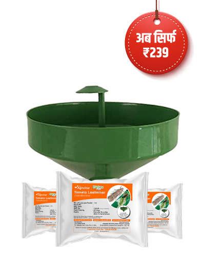 Agrostar Poshan Suraksha Combo Biosens (Tuta Absoluta Lure +Wota-T Trap ...