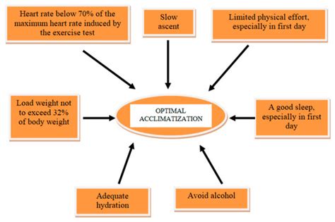 Coronary Syndromes and High-Altitude Exposure—A Comprehensive Review