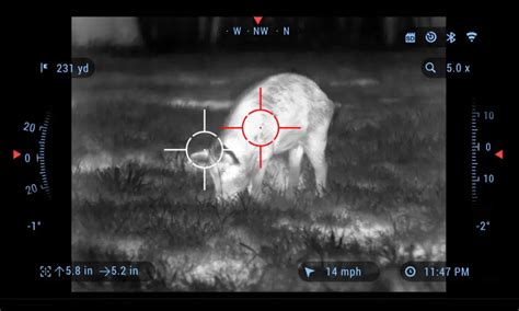 ATN ThOR 4 Tutorial 的图像结果