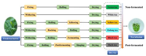 Recent Advances in Analytical Methods for Determination of Polyphenols ...