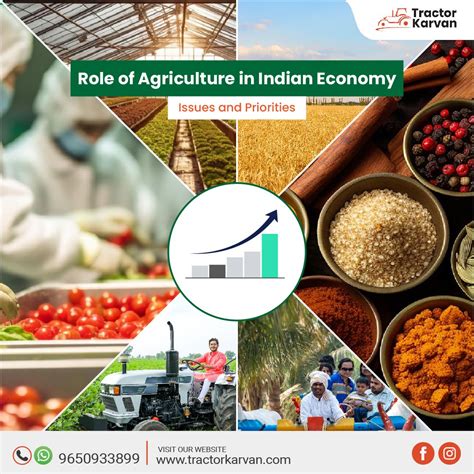 A Deep Dive into Indian Agriculture: Production, Exports and Challenges – Artofit
