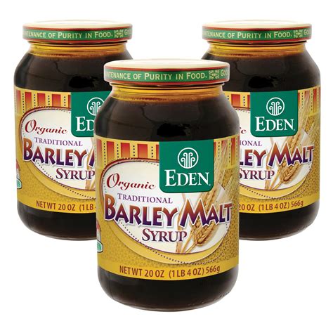 Amazon.com : Eden Traditional Organic Barley Malt Syrup, Non-GMO, USA ...