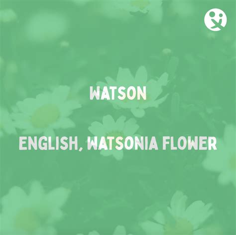 95 Unique Male Flower Names – DaddiLife