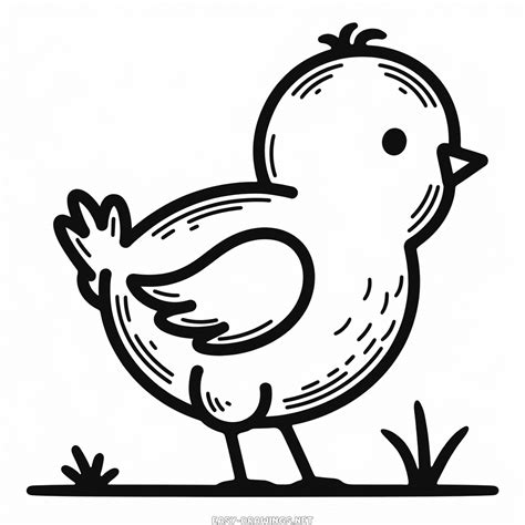 Chick Animal Easy Drawing | Easy Drawings