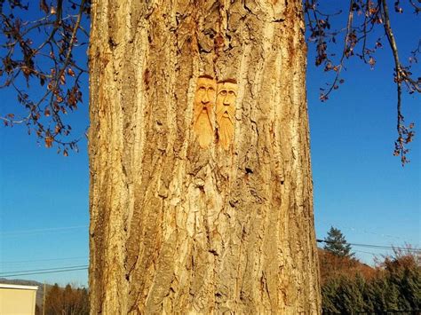 Kamloops Tourism (2021): Best of Kamloops, Canada - Tripadvisor