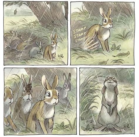 Watership Down (Graphic Novel) Richard Adams James Strum nel 2025