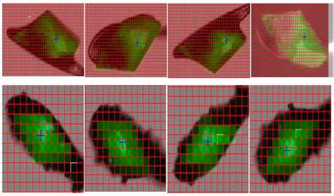 Crystal Growth in Gels from the Mechanisms of Crystal Growth to Control ...