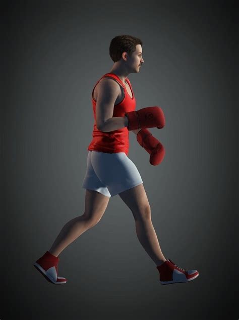 Boxer Human 的图像结果