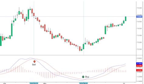Golden Rules for Success in Stock Trading