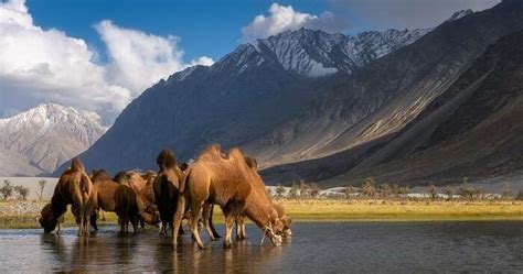 9 Wildlife Sanctuaries in Kashmir That One Must Visit in 2026