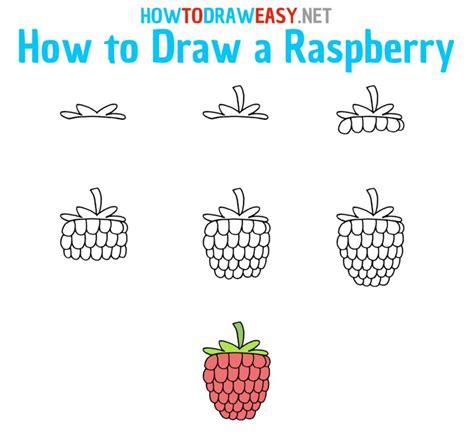 Image result for Raspberry Drawing Tutorial