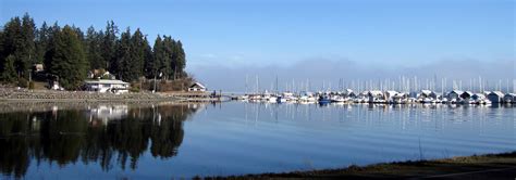 Do fish see color, are fish color blind