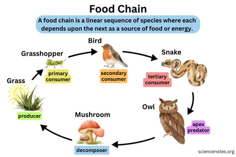Image result for FSM Example