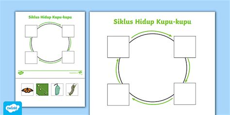 Lembar Aktivitas Siklus Hidup Kupu-kupu (teacher made)