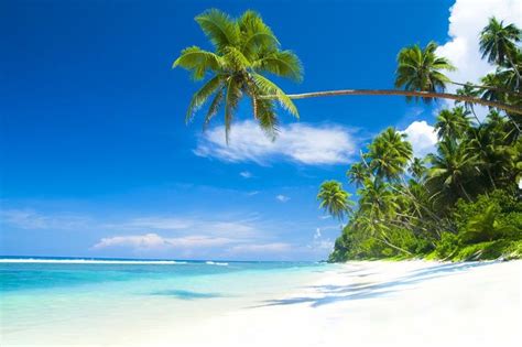 Image result for Beach Python Code